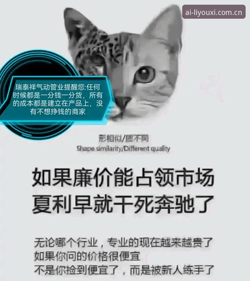 揭秘尤文图斯球星戴维的“非卖品”标签：3500万欧元，一个关于尊严和市场的冷幽默